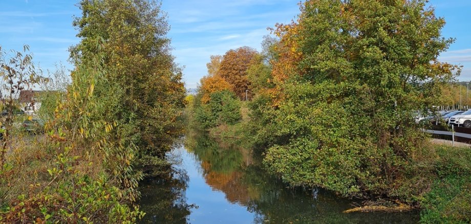 Nidda Fluss Foto