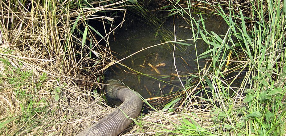 Foto Rohr im Fluss